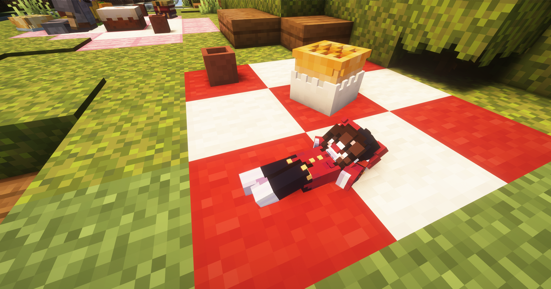 Поле пикников — фото 3